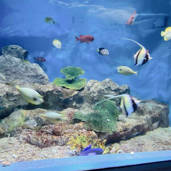 小樽水族館